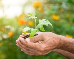 AMO Saúde Ocupacional